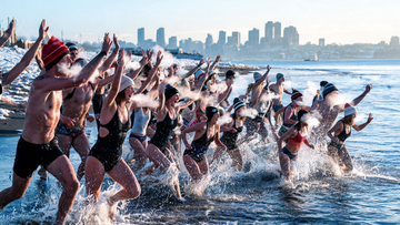 9) — see polar-bear-plunge-image-prompts.txt