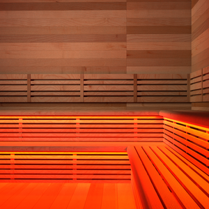 Sauna LED Light Kit