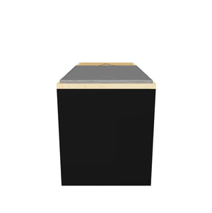 The Revive Premium Cold Plunge